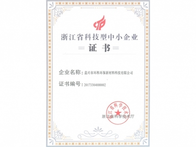 科技型中小企業